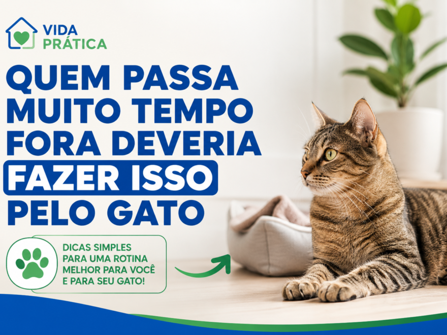 Gato descansando em ambiente clean mostrando dicas para melhorar a rotina de quem passa muito tempo fora de casa